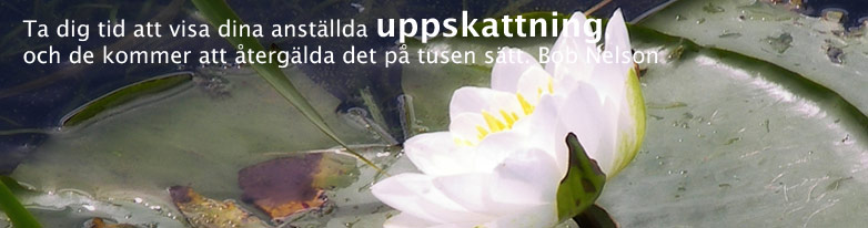 huvudbild