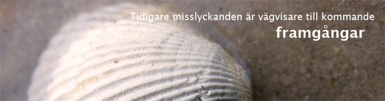 huvudbild